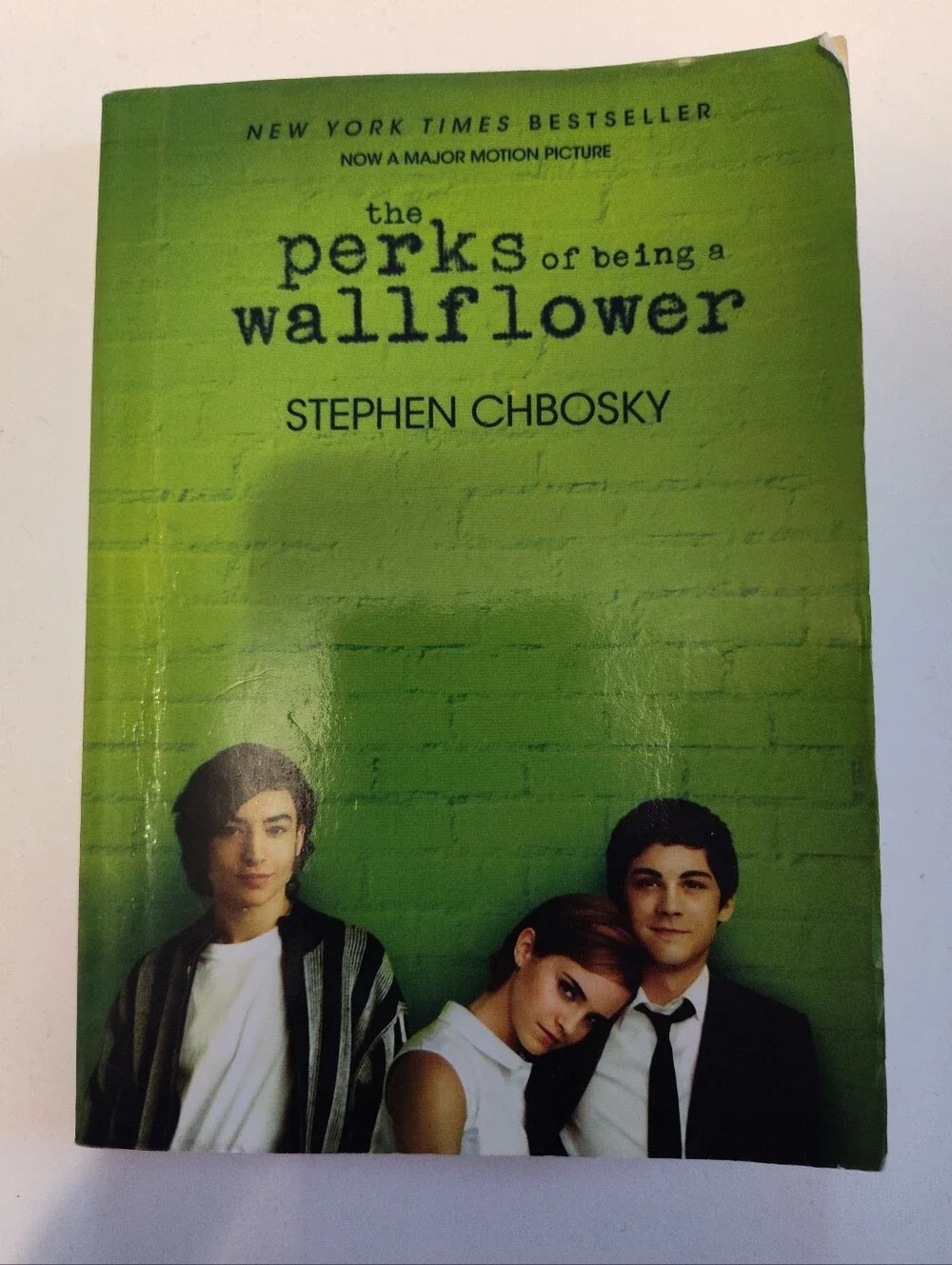 The Perks of Being a Wallflower by Stephen Chbosky (Paperback)